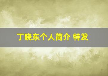 丁晓东个人简介 特发